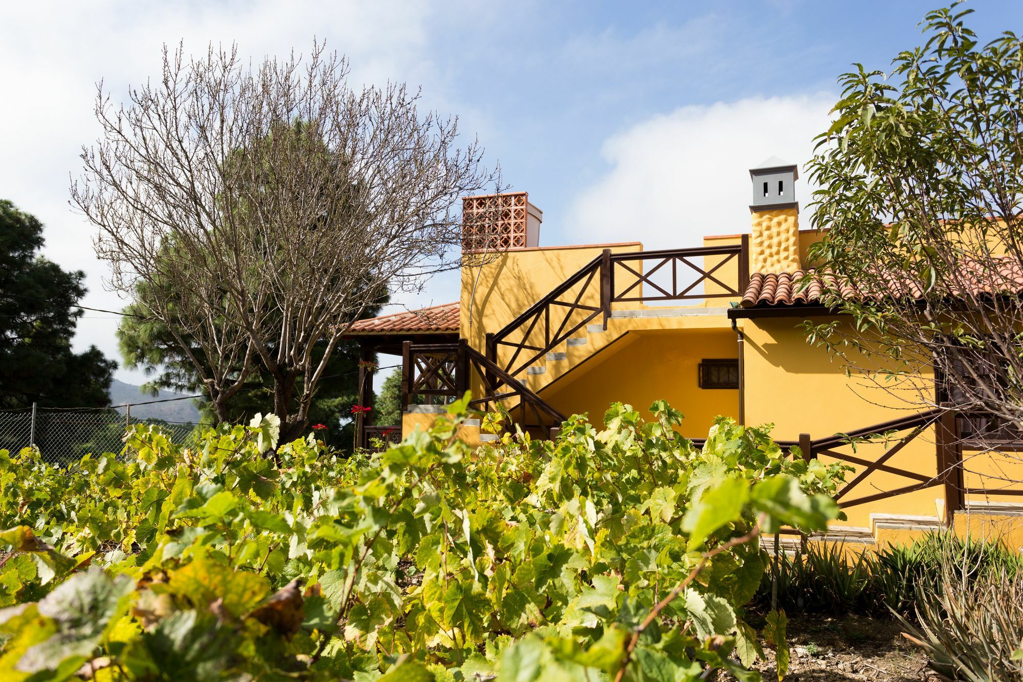 Finca Casa Yaya إيكود ذي لوس فينوس المظهر الخارجي الصورة